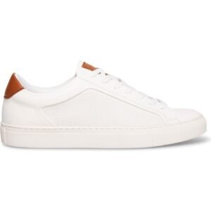 Steve Madden –  Finneas Sneaker (Men)
