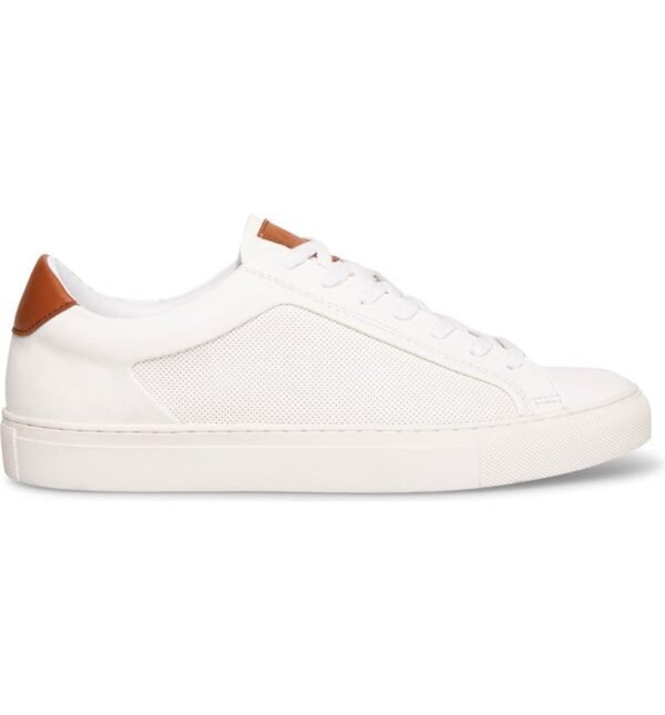 Steve Madden -  Finneas Sneaker (Men)