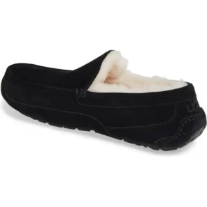 UGG® – Ascot Slipper (Men)